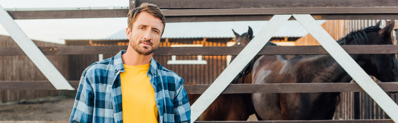 panoramic crop of farmer in checkered shirt looking at camera while standing near corral with horses