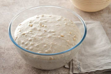 Raw dough for whole wheat rye bread in a bowl.