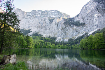 Fototapeta na wymiar lake in the mountains with tree trunk