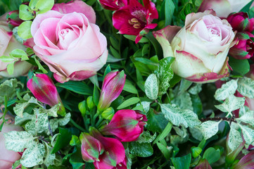 Closeup abstract view of a bunch of pink roses