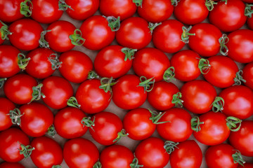 Delicious red tomatoes. Summer tray market agriculture farm full of organic vegetables It can be used as background. (selective focus)