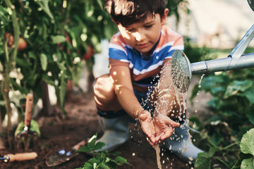 Boy washing his hands with water from a watering can © gpointstudio