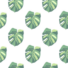 Isolated exotic seamless doodle pattern with green monstera leafs. White background. Simple design.