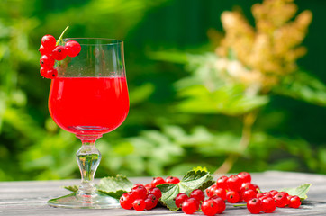 A fresh red currant drink and juicy berries on a wooden rustic table in the green garden. Summer healthy food, detox and new crop concept.