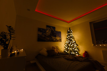 Illuminated Christmas tree decorated in modern living room