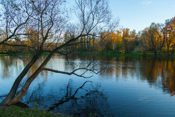 Small lake in autumn park