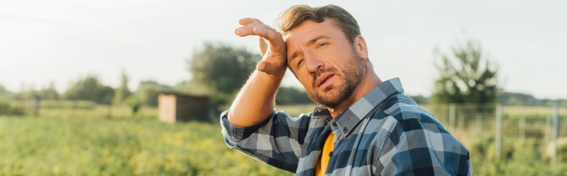 panoramic shot of exhausted farmer touching forehead while standing in field and looking at camera