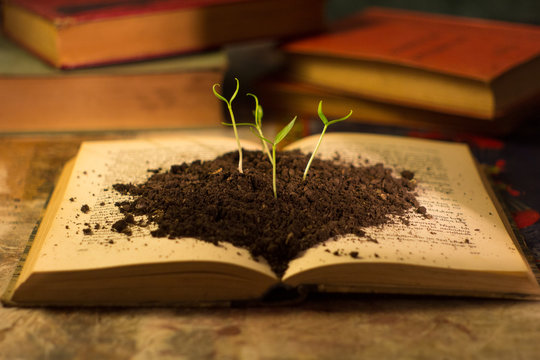 growth of small plants on a book for learning and self-improvement. business and entrepreneurship
