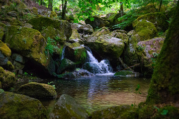 waterfall splash in the wood