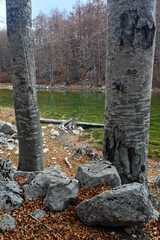 View of Arenes or Moutsalia alpine lake on Mt Grammos in Greece during autumn