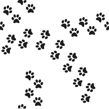 Black and white seamless pattern with paw prints. Abstract background, animal footprint, illustration.