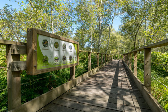 HOURTIN (Gironde, France): panneau &eacute;ducatif des oiseaux pr&eacute;sents dans la boucle de Contaut, dans la R&eacute;serve Naturelle des Dunes et Marais