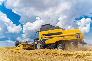 Obraz premium Process of gathering a ripe crop from the fields. Combine harvester in action on wheat field. Closeup