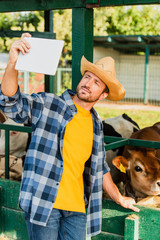 farmer in checkered plaid and straw hat taking selfie with cows on digital tablet