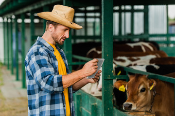 farmer in checkered shirt and straw hat using digital tablet near cowshed