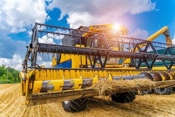 Heavy technics in wheat field. Yellow combine harvesting dry wheat. Observing process. Front view.