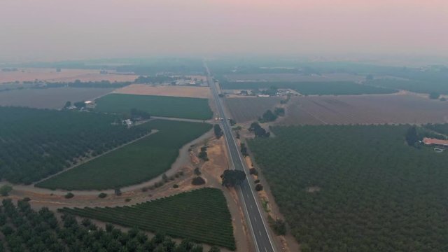 Winters, California, USA. 22 August 2020.  Orchid and smoke from wildfires. LNU Lightning Complex Fire that ravaged the Napa, Sonoma, Lake and Solano counties.