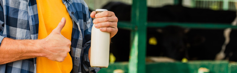 cropped view of rancher holding bottle of fresh milk and showing thumb up, horizontal image