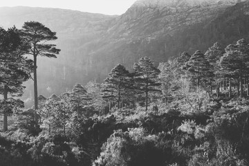 Scottish Mountainside in Black and White