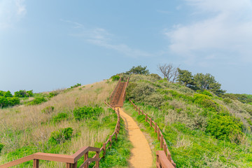 Ulleung, South Korea - 04.27.2020 - Mountain on Ulleung island