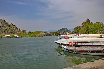 Naklejka premium Vessels from the Dalyan Boat Cooperative moored by the side of the Dalyan River