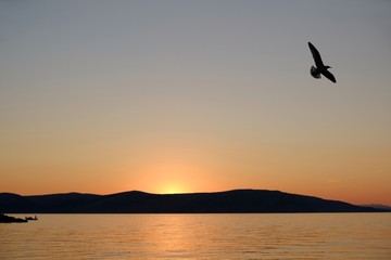 Fototapeta na wymiar Idyllic landscape with boat on sea at sunset. Flying bird on sky.