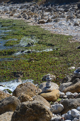 Fototapeta na wymiar algues sur l'île d'oléron pointe de chassiron