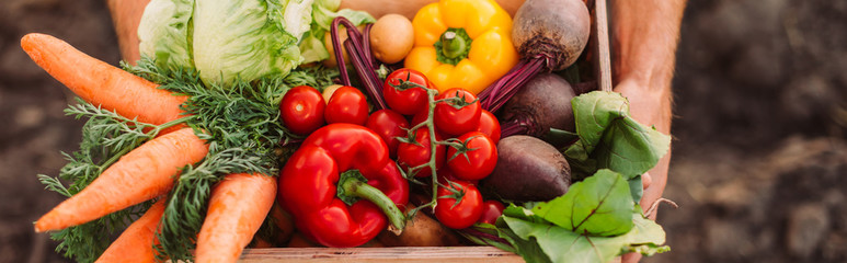 Obraz na płótnie Canvas cropped view of farmer holding box full of ripe, fresh vegetables, website header