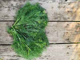 a bunch of fresh heart-shaped dill on a wooden table with the glare of the sun