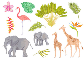 Vector cute realistic illustration of elephant, flamingo and giraffe with flowers, trees and leaves