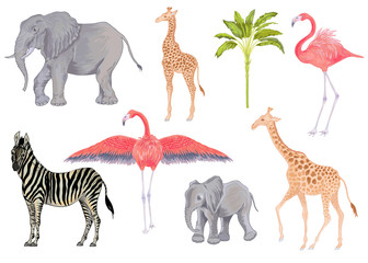 Vector cute realistic illustration of zebra, elephant, flamingo and giraffe with flowers and leaves