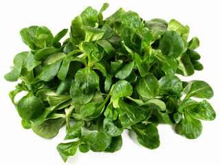 Lambs Salad on White - Isolated on white Background