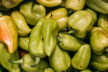 Delicious and healthy organic food. Sweet green bell pepper. Fresh vegetables, peppers from the garden close-up.