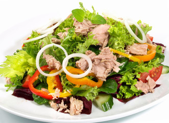 Mixed Salad with Tuna and Onions - Isolated on white Background