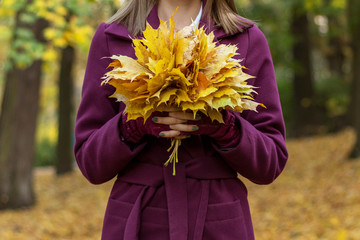Woman in park holds autumn leaf bouquet. Close up.