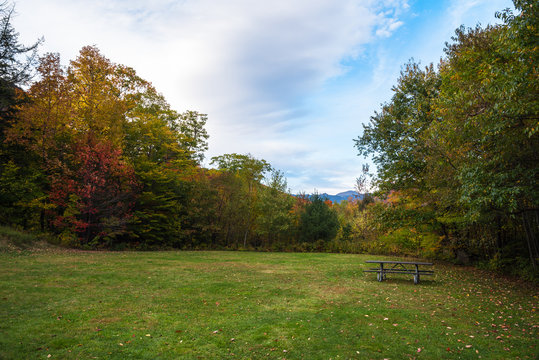 Empty picnic table in a clearing in a deciduous forest in the mountains in autumn. Crawford Notch, NH, USA.