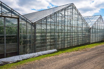Exterior of geothermal heated greenhouses for growing tomatoes in Iceland on a cloudy summer day