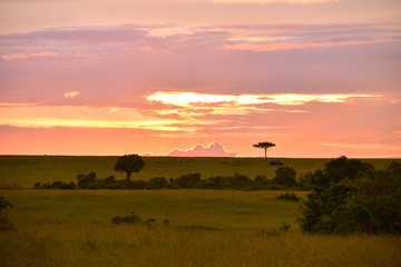 magic sunset in Africa