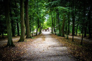 Fototapeta premium path in the park with a door at the end. end of road concept.