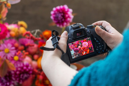 Camera on hands closeup. Making nature photo and video with autumn flowers