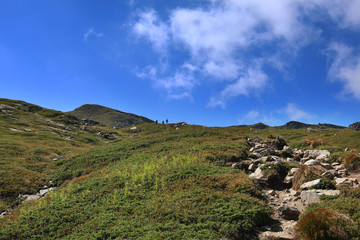 Fototapeta na wymiar Paesaggio estivo di montagna nell’Appennino modenese; veduta con escursionisti tra sentieri, rocce, fiori ed erbe spontanee