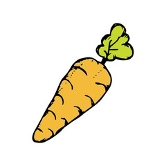 Carrot icon vector on hand drawn style