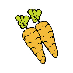 Carrot icon vector on hand drawn style