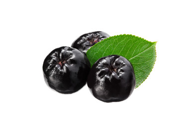 Chokeberry with green leaves isolated on white background. Clipping path and full depth of field