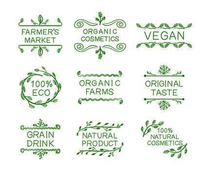 Vector typographic vector floral elements set, farmers market concept, organic natural foods, healthy eating, hand drawn doodle icons collection, green lines.
