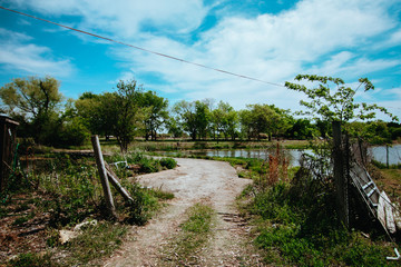 Landscape of an Orchard with a Large Creek and lots of Trees in the country side. 