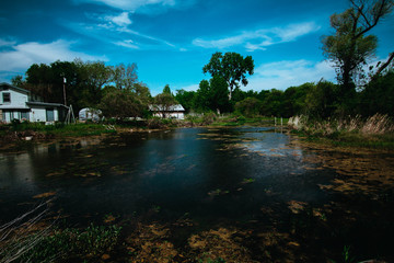 Landscape of an Orchard with a Large Creek and lots of Trees in the country side. 