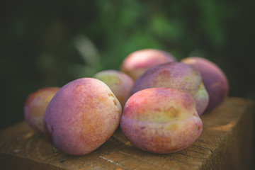 Bunch of plums on wooden block in garden