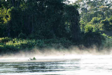 Morgenstimmung im Pantanal