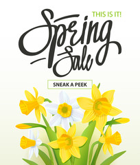 Spring Sale banner. Sale banner Background for Spring Seasonal Promotion. Sale poster template.